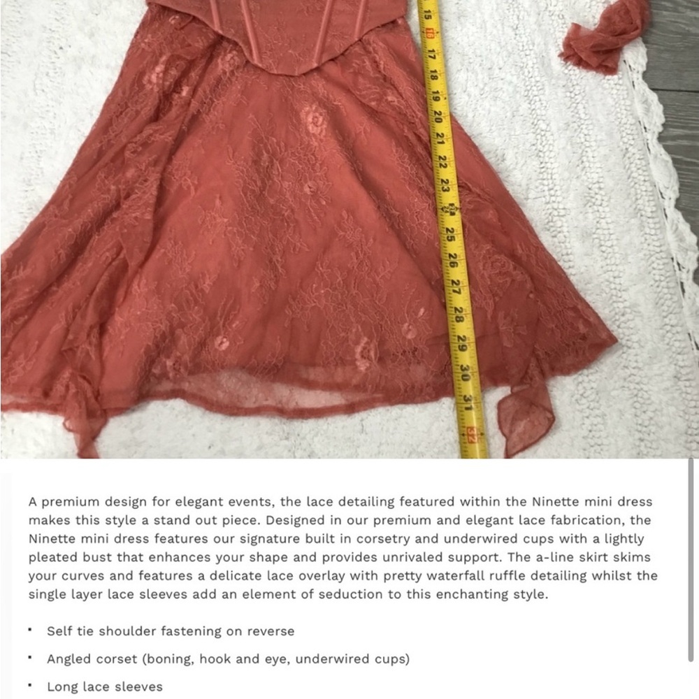 NWT Oh Polly Ninette Lace Corsette Mini Dress in Terracotta size 4 - Picture 4 of 4